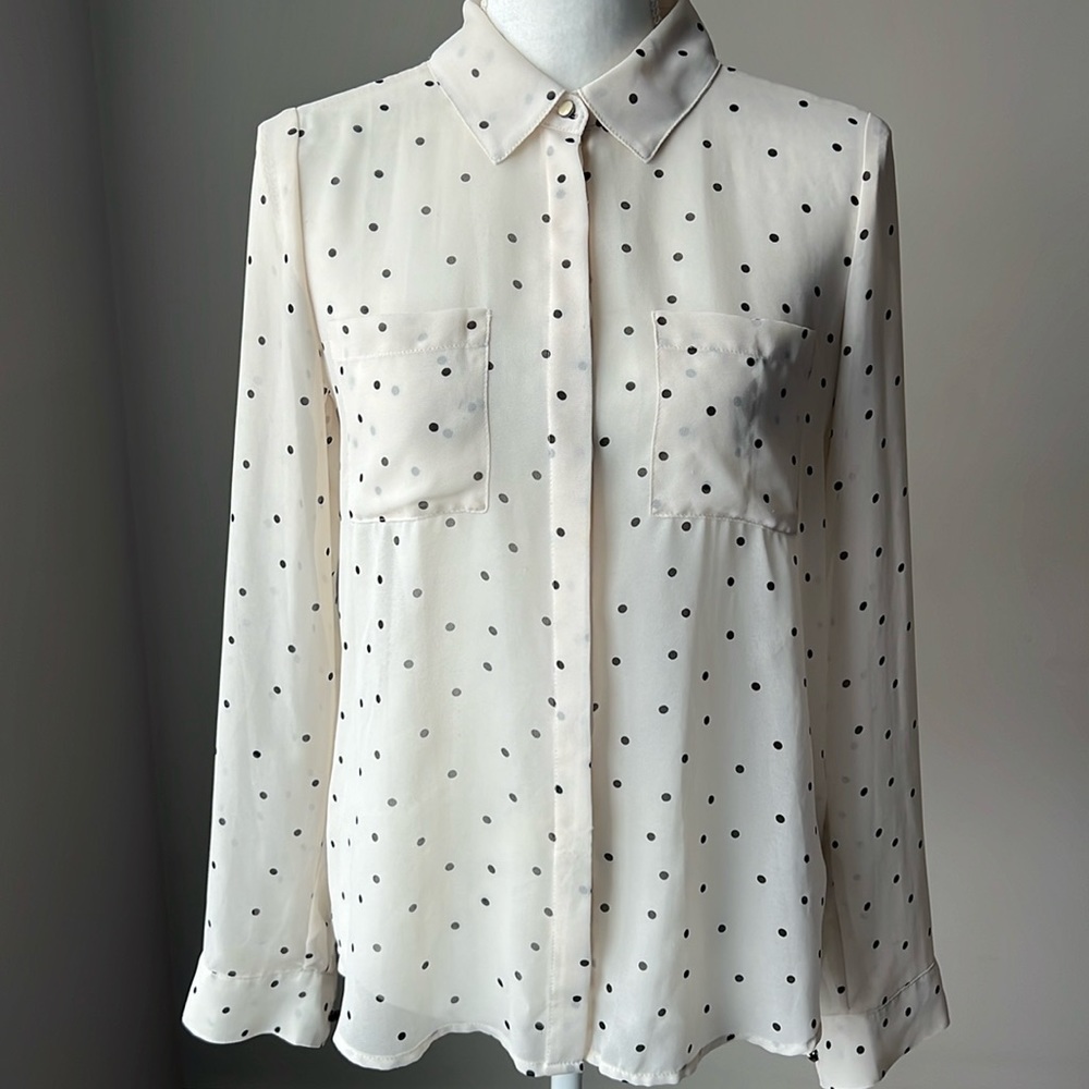 Chic by Jacob Polka Dot Blouse